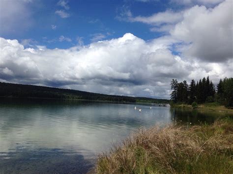 carliiboog|THE 15 BEST Things to Do in Cariboo (Updated 2024) .